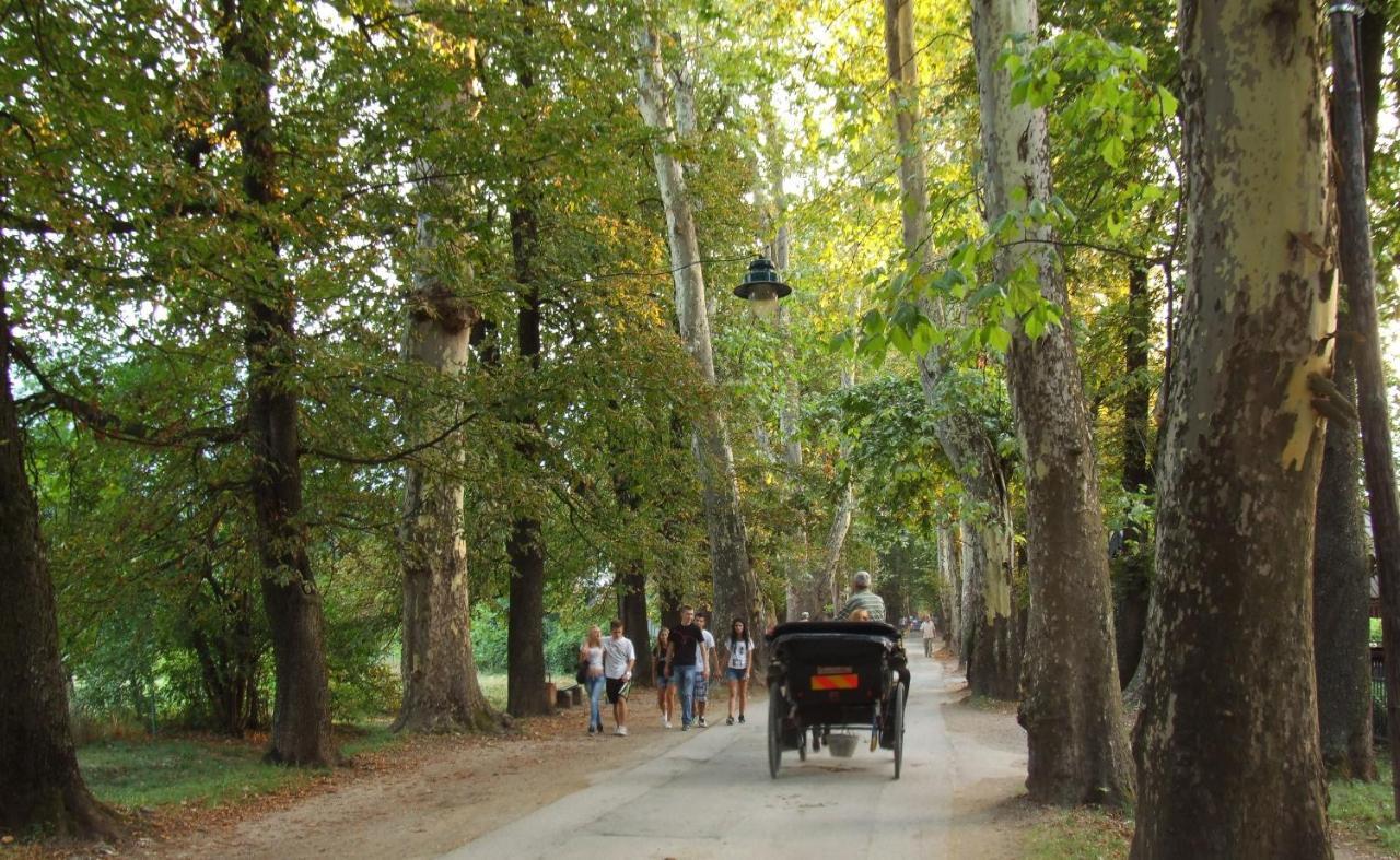 Villa Vrelo Bosne Sarajevo Eksteriør bilde